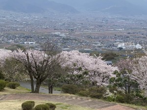 ⑥ホテルを出てパーク散策、甲府盆地遠景